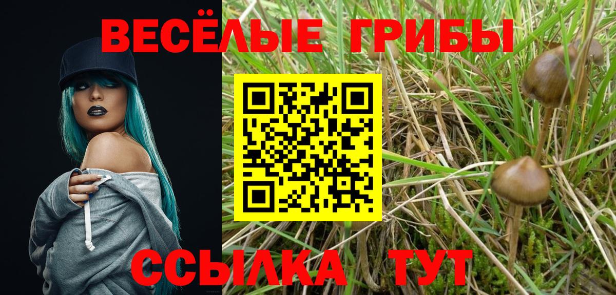 А ПВП Красноармейск
